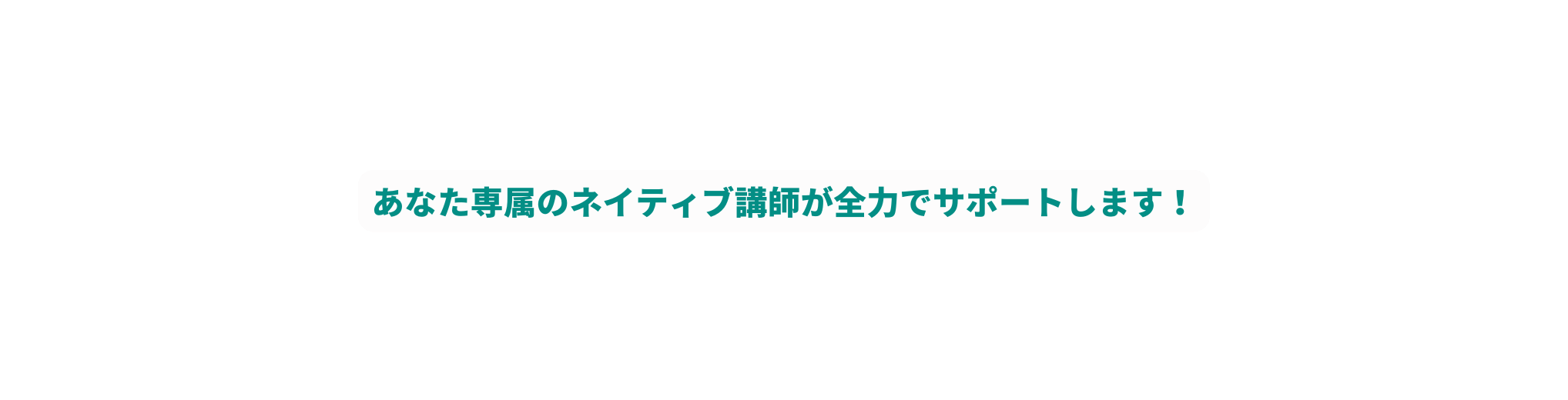 あなた専属のネイティブ講師が全力でサポートします